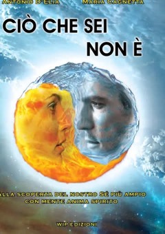 Copertina del libro Ciò che sei non è