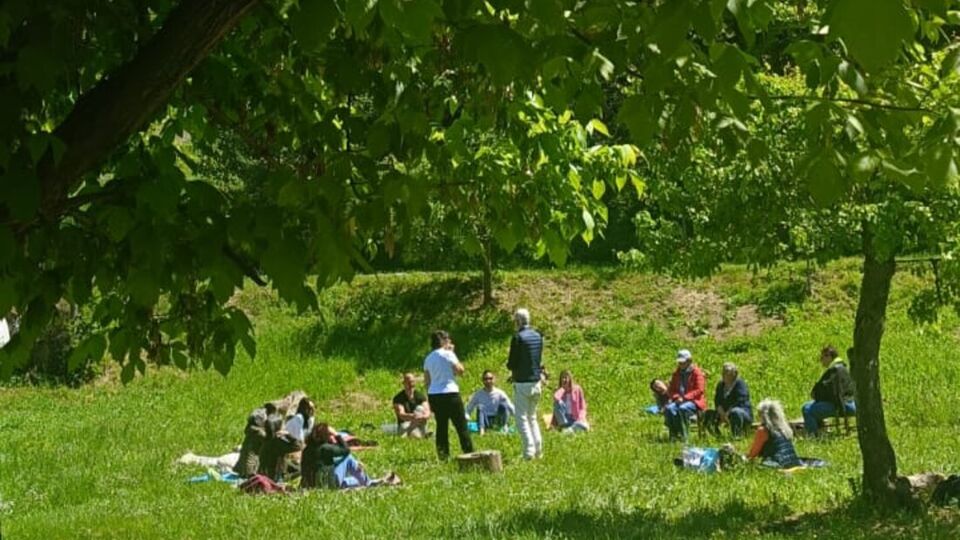 Un cerchio di persone nel prato, sotto un grande albero