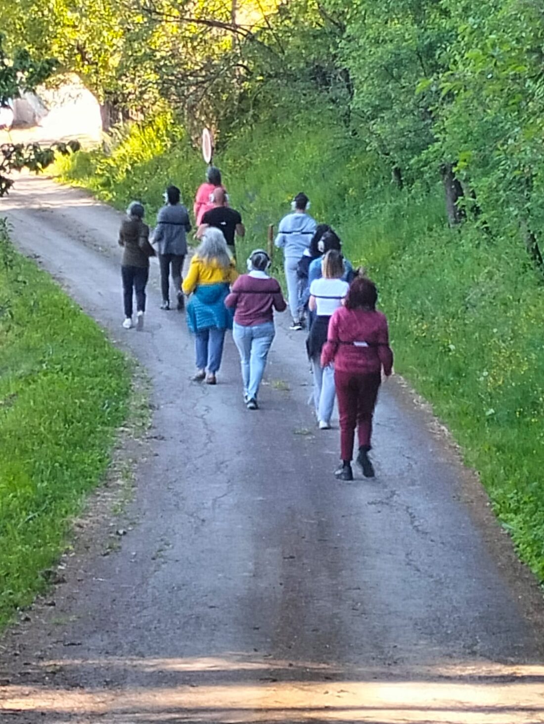Gruppo in cammino