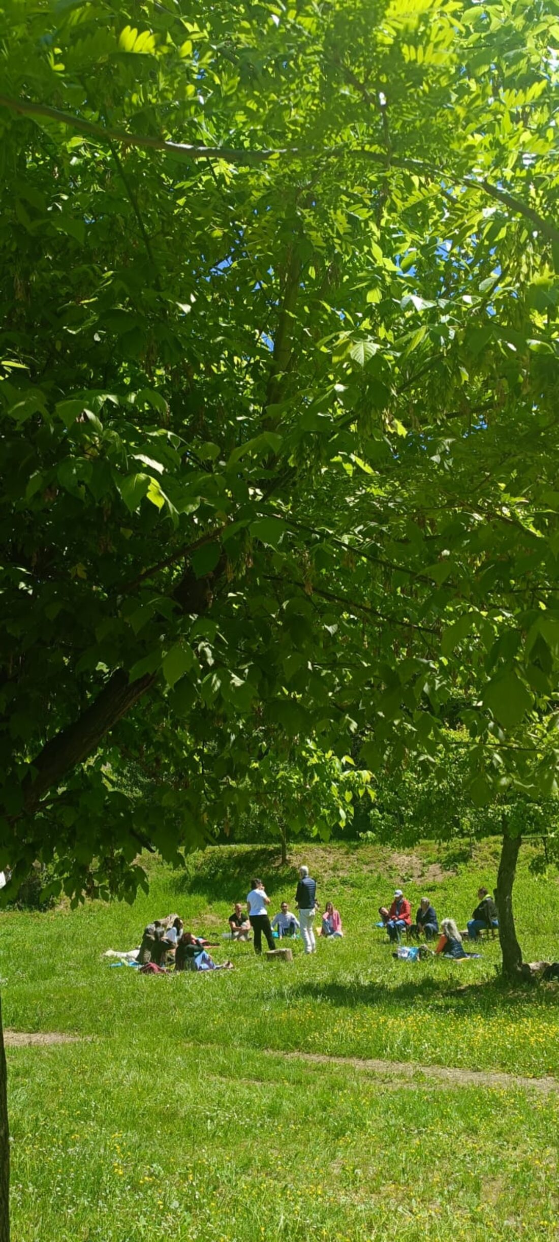 Cerchio di condivisione sotto l'albero
